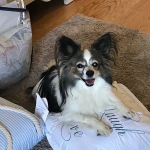 Meet your Posher, Lisa